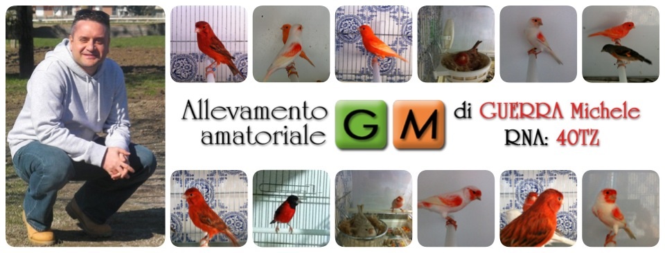 allevamento_gm_home1.jpg